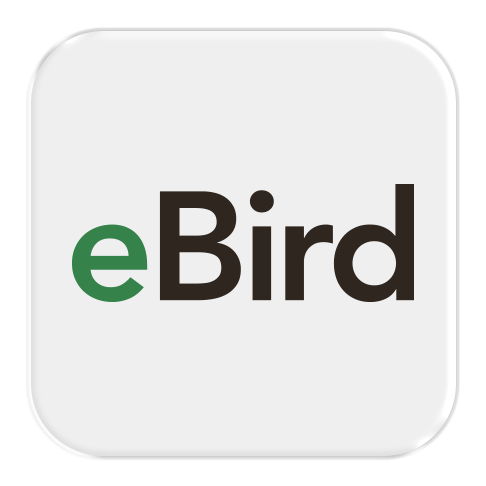 eBird